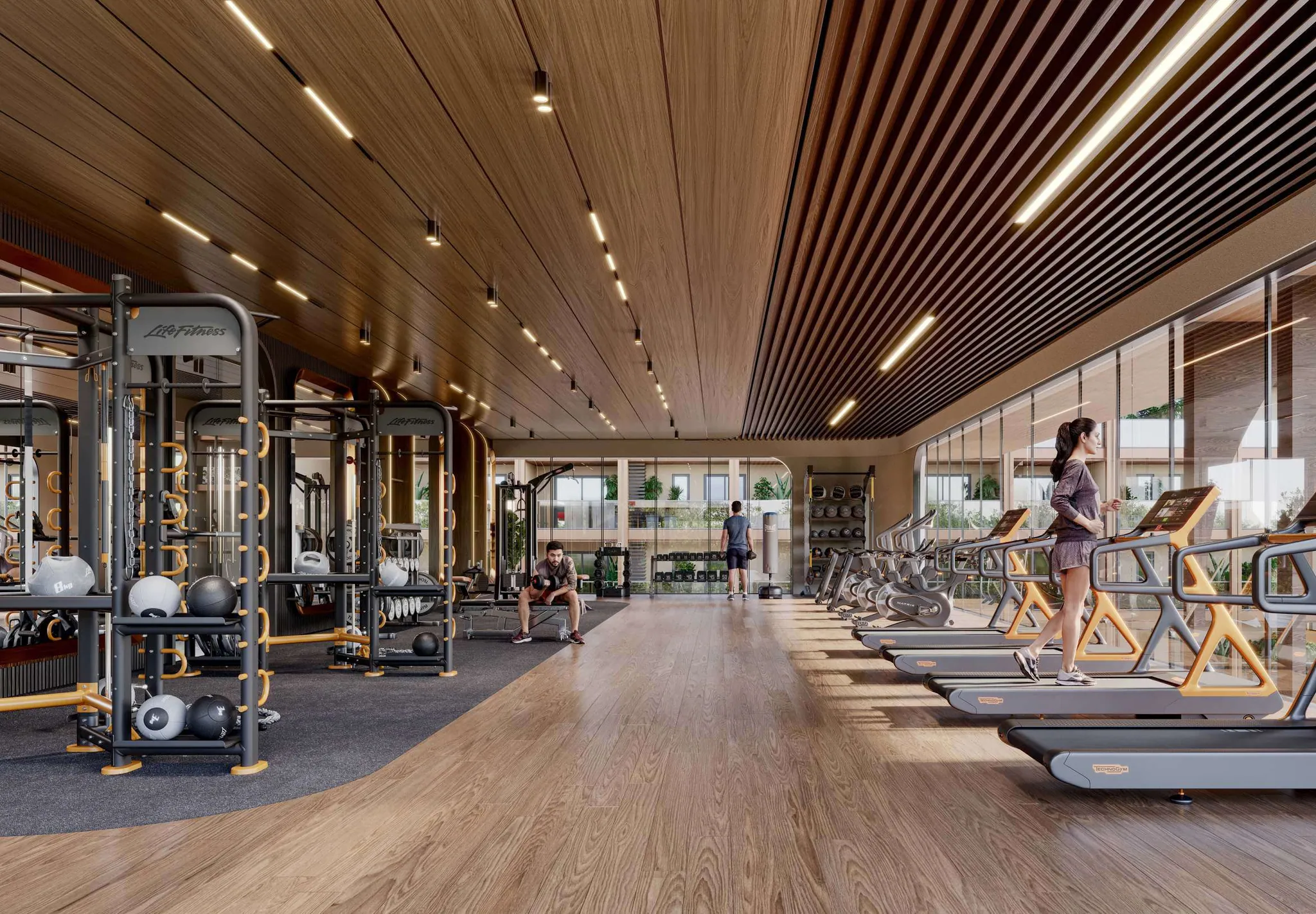 Gym — Train beyond limits