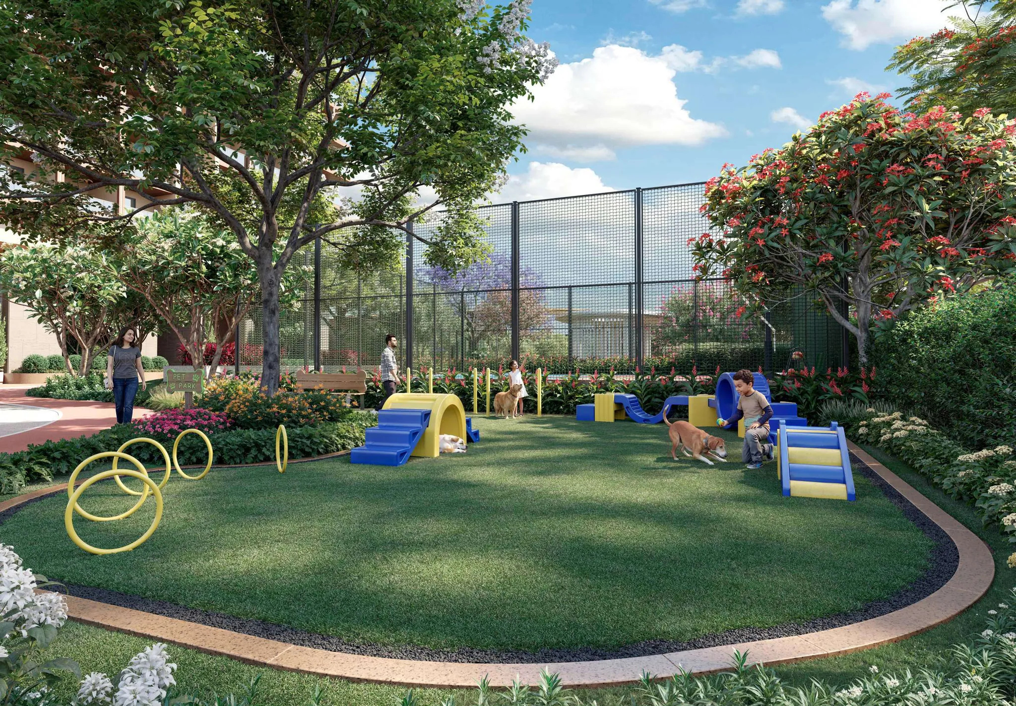 Pet Park — Paws at play